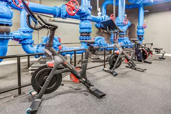 Peloton bikes and echelon mirror workout systems